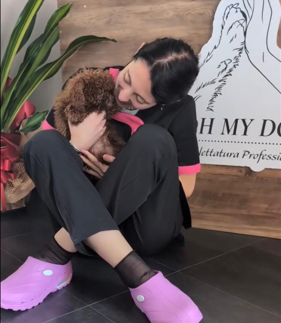 Un cane sereno durante la toelettatura da Oh My Dog a Rende